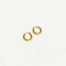 Load image into Gallery viewer, Meghan Small Hoop Earrings
